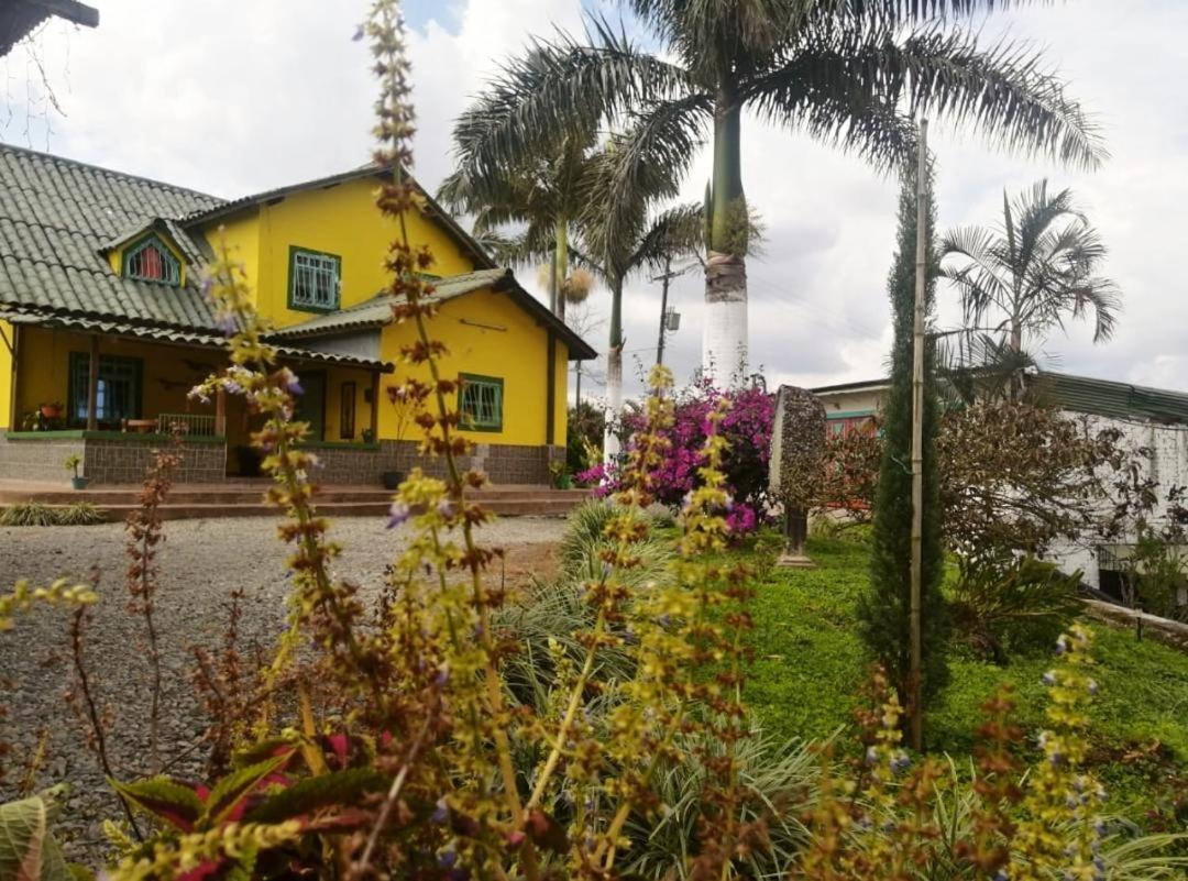 Finca Turistica Santa Clara Hostel Calarcá Εξωτερικό φωτογραφία